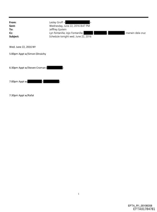 Preview of EFTA01784781