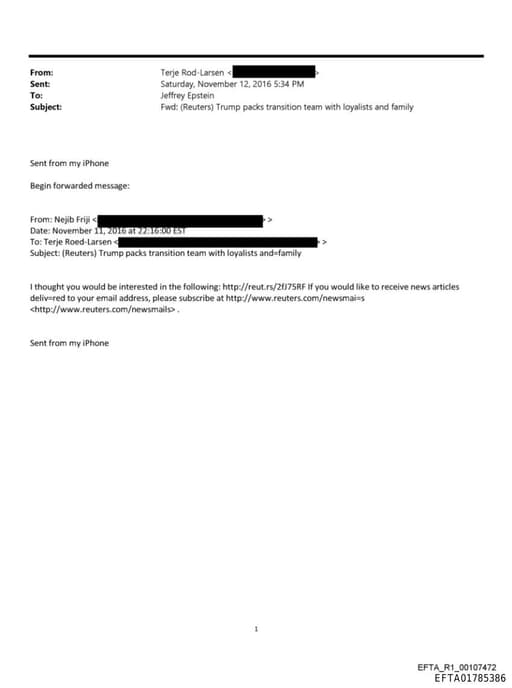 Preview of EFTA01785386