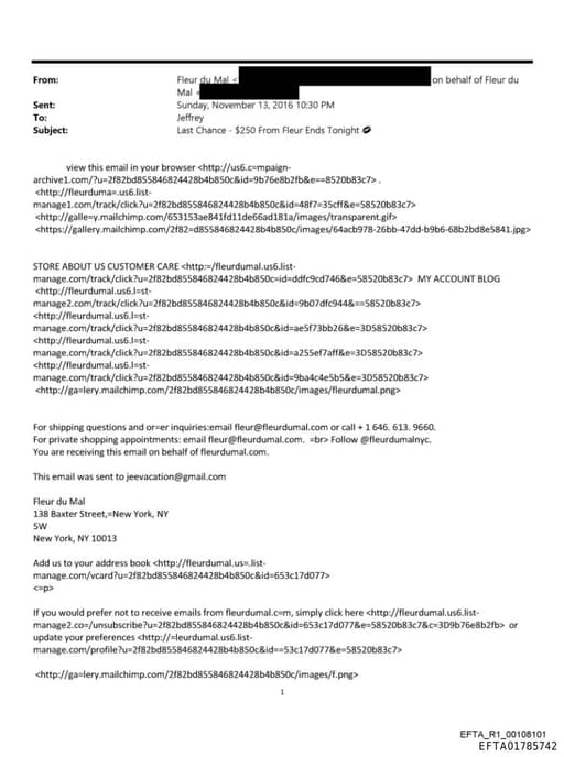 Preview of EFTA01785742