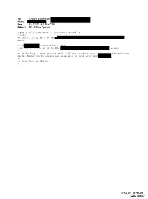 Preview of EFTA02104020