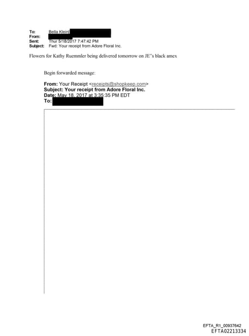 Preview of EFTA02213334