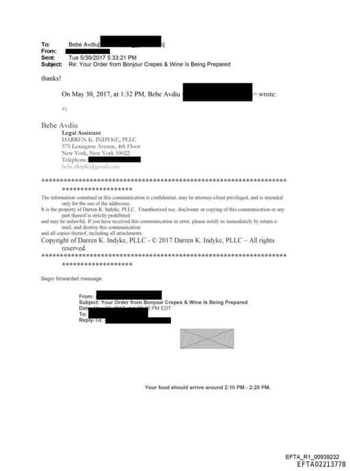 Preview of EFTA02213778