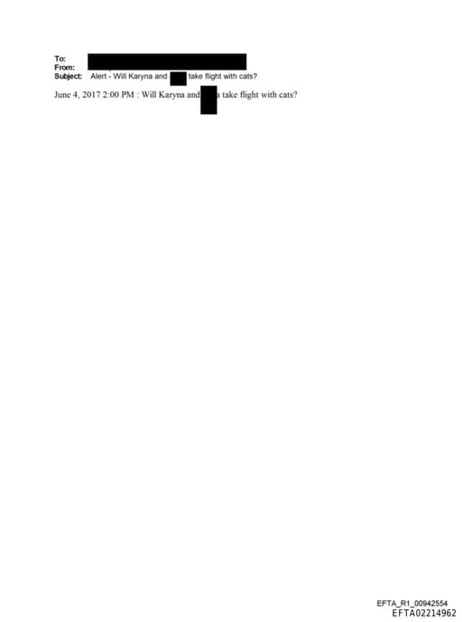 Preview of EFTA02214962