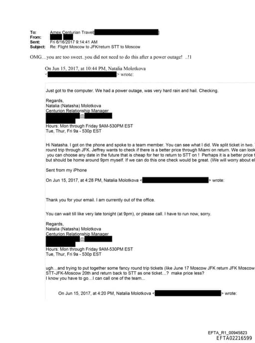 Preview of EFTA02216599