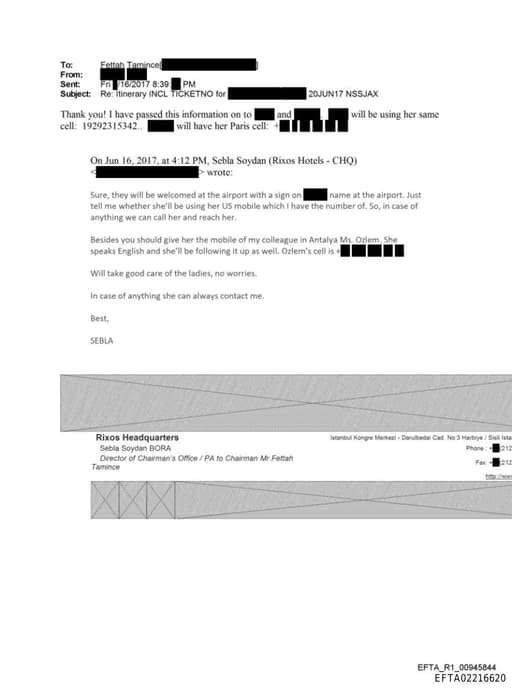 Preview of EFTA02216620