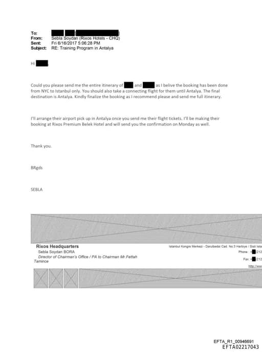 Preview of EFTA02217043