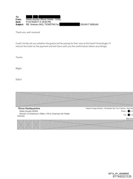 Preview of EFTA02217135