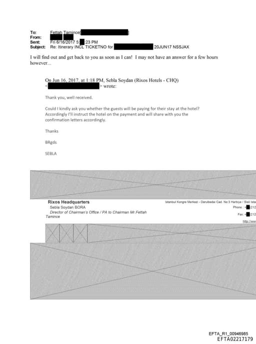 Preview of EFTA02217179