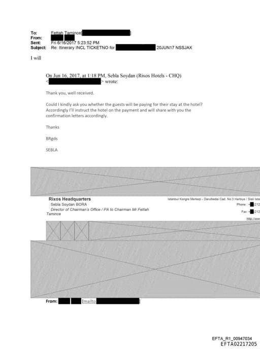 Preview of EFTA02217205