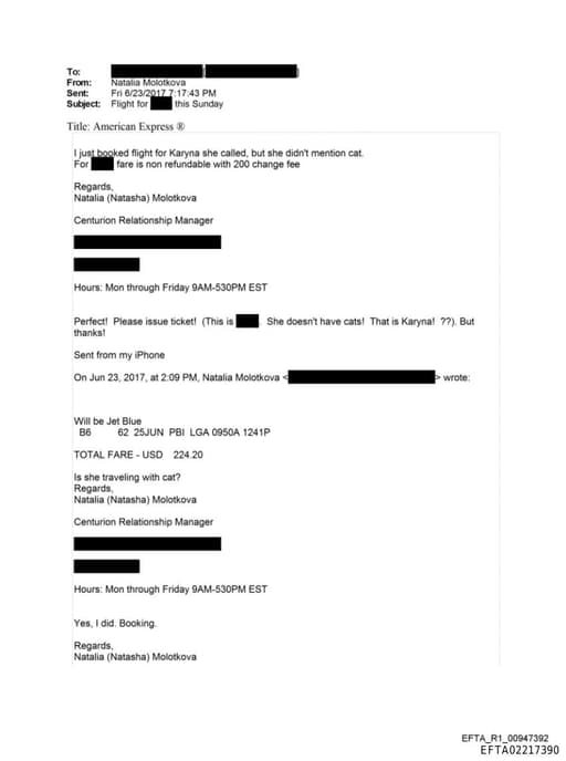 Preview of EFTA02217390