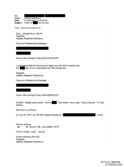 Preview of EFTA02217397