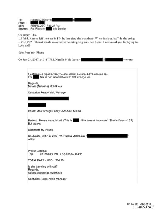 Preview of EFTA02217406