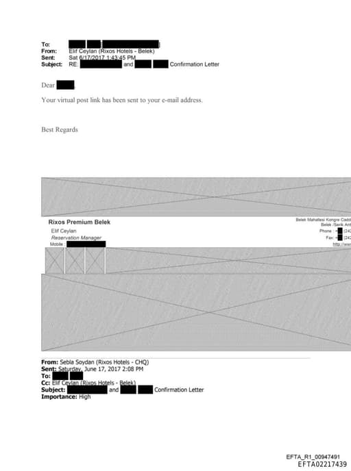 Preview of EFTA02217439