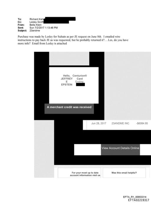 Preview of EFTA02219317