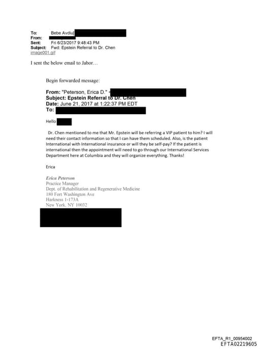 Preview of EFTA02219605