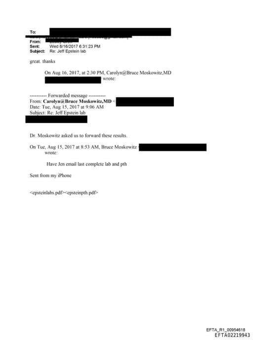 Preview of EFTA02219943