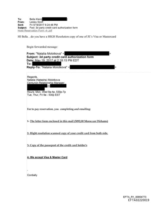 Preview of EFTA02220019