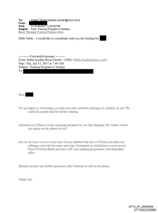 Preview of EFTA02220060