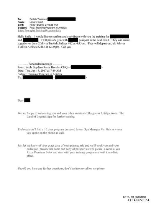 Preview of EFTA02220154