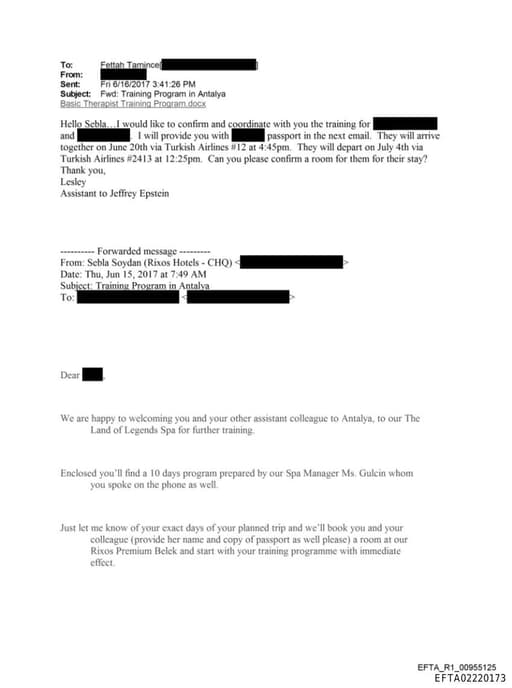 Preview of EFTA02220173