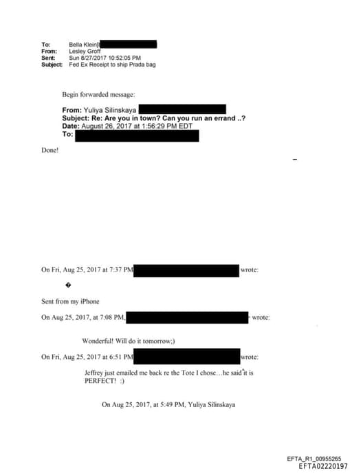 Preview of EFTA02220197