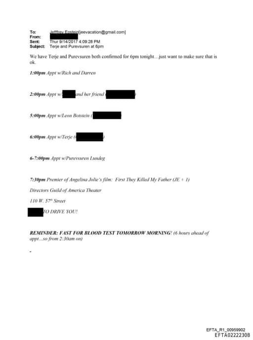 Preview of EFTA02222308