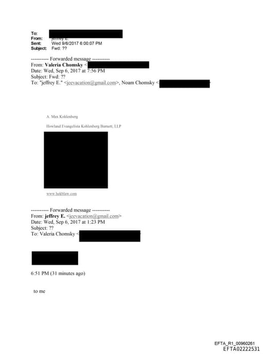 Preview of EFTA02222531