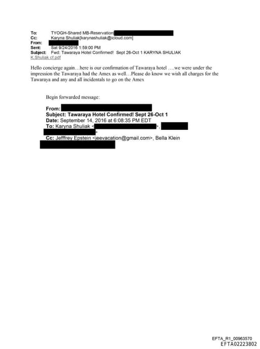 Preview of EFTA02223802