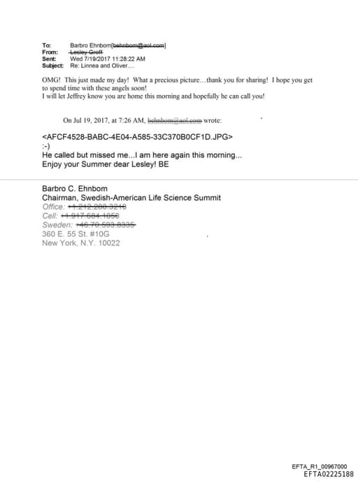 Preview of EFTA02225188