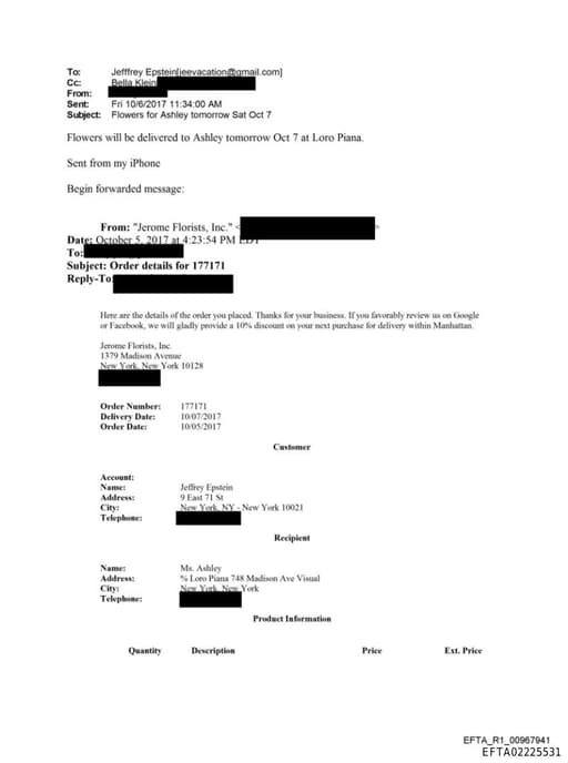 Preview of EFTA02225531