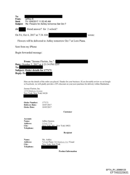 Preview of EFTA02225631