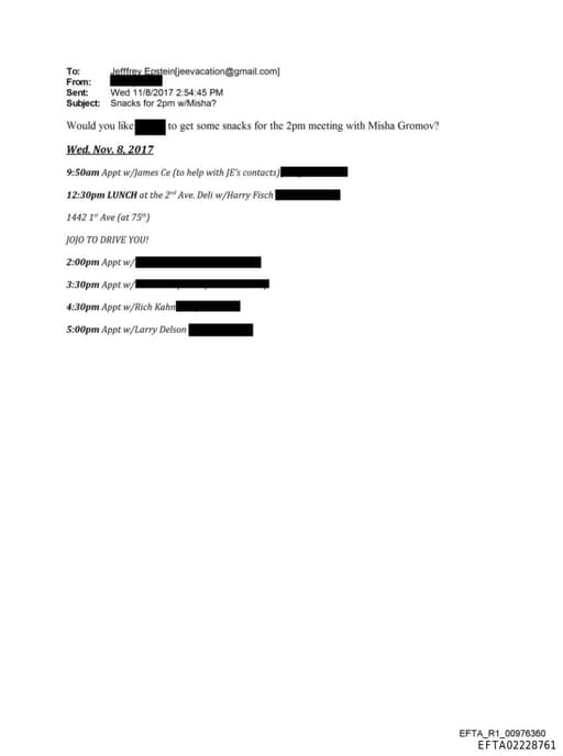 Preview of EFTA02228761