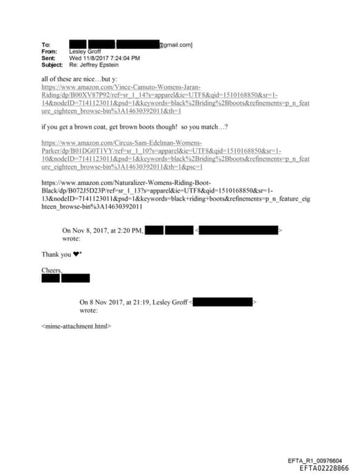 Preview of EFTA02228866