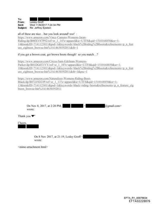 Preview of EFTA02228876