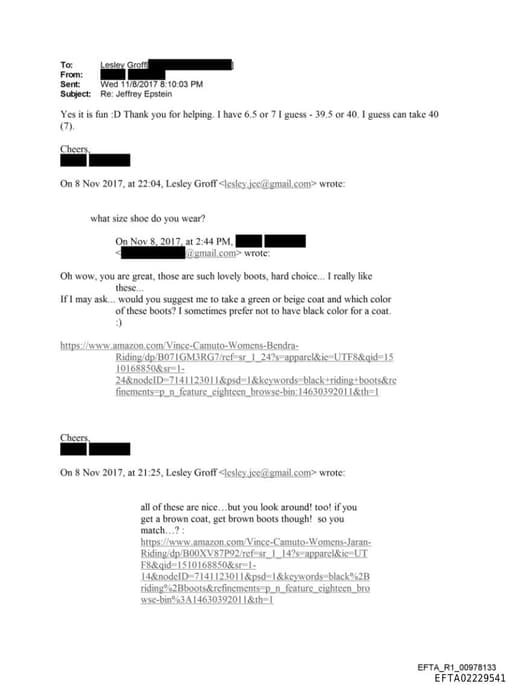 Preview of EFTA02229541