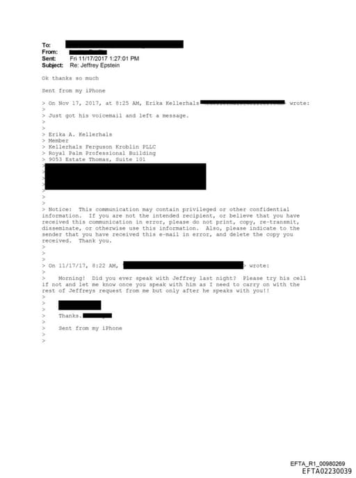 Preview of EFTA02230039