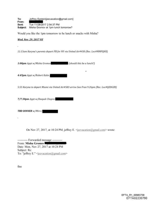 Preview of EFTA02230790