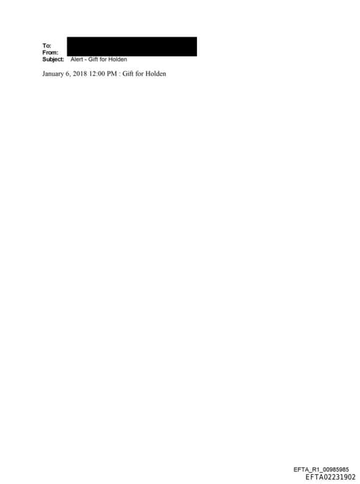 Preview of EFTA02231902