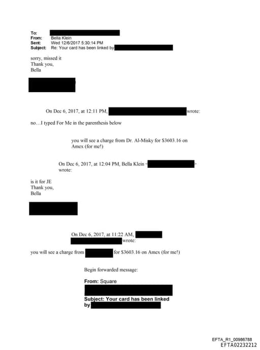 Preview of EFTA02232212