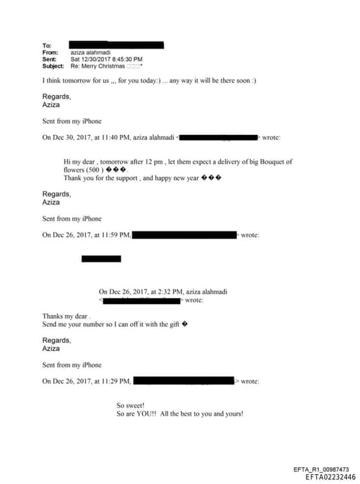 Preview of EFTA02232446