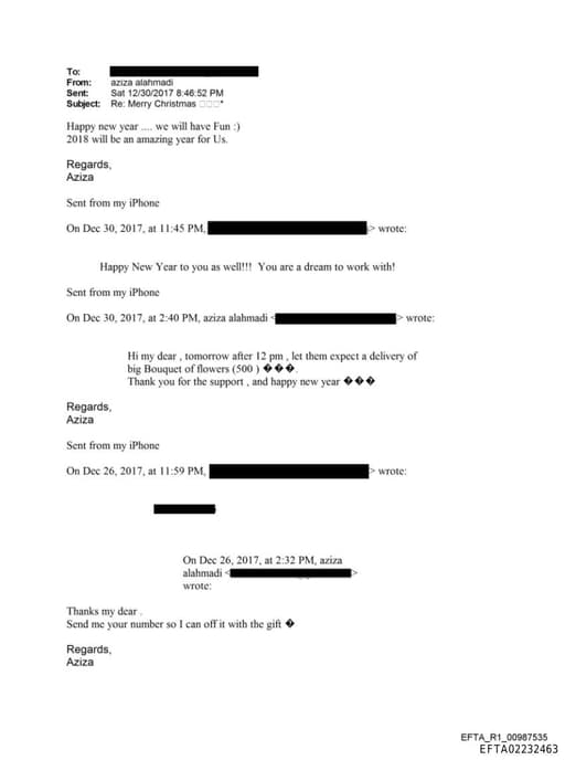 Preview of EFTA02232463