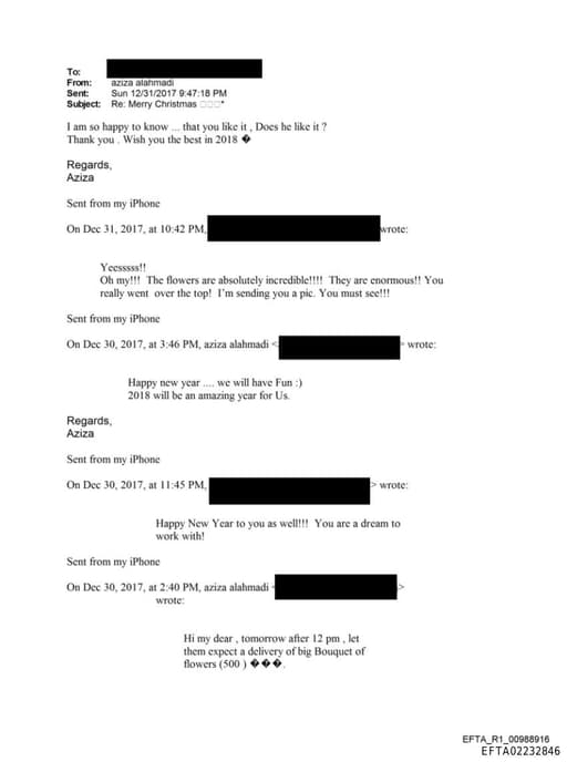 Preview of EFTA02232846