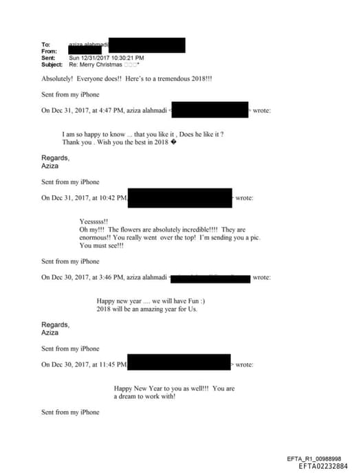 Preview of EFTA02232884