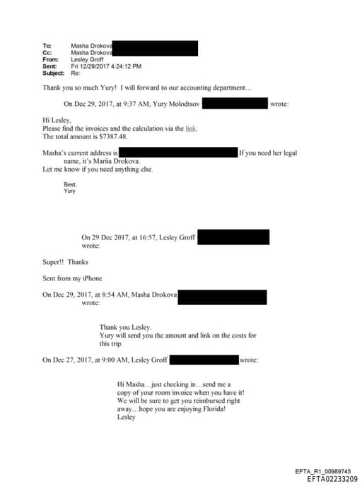 Preview of EFTA02233209