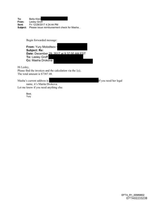 Preview of EFTA02233238