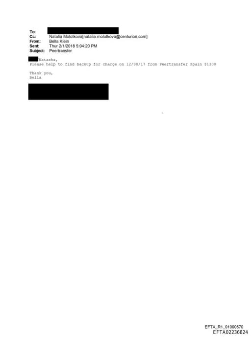 Preview of EFTA02236824