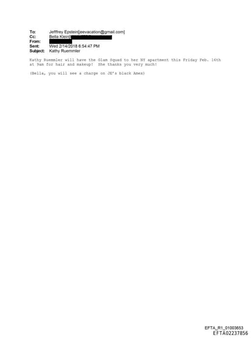 Preview of EFTA02237856