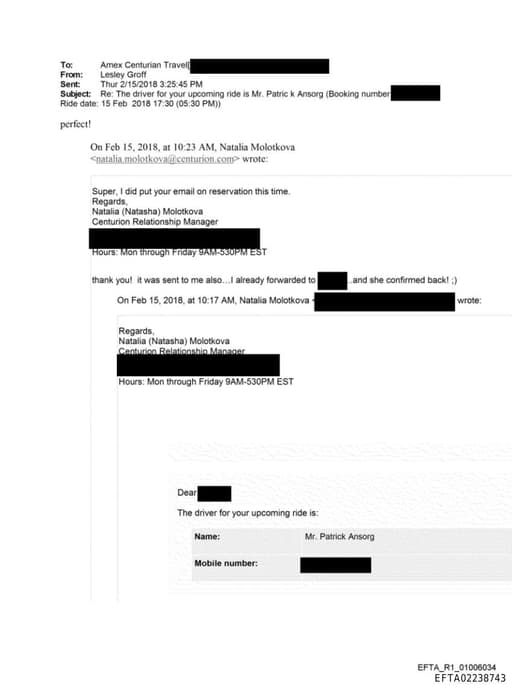 Preview of EFTA02238743