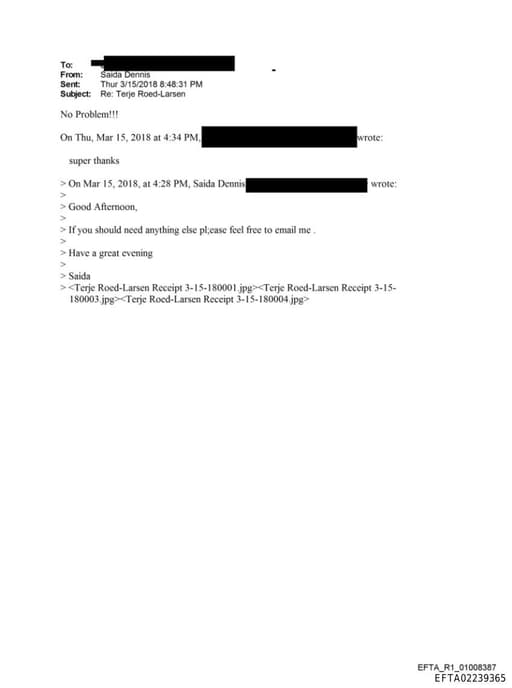 Preview of EFTA02239365