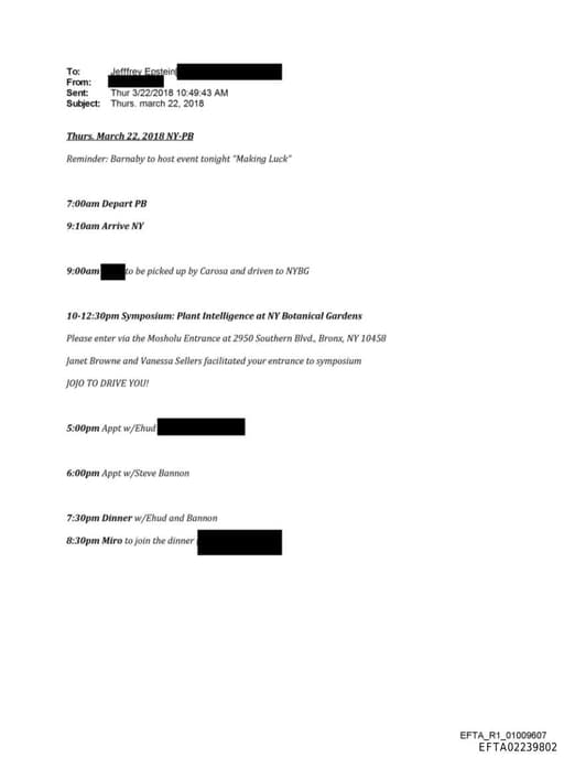 Preview of EFTA02239802